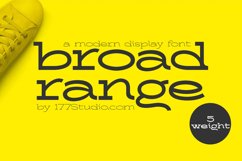 Broad Range Font Product Image 1