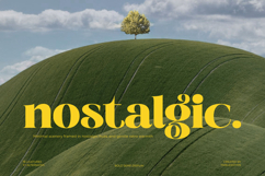 Broftin Resort - Bold Serif Display Product Image 3