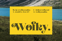 Broftin Resort - Bold Serif Display Product Image 5