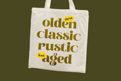 Broftin Resort - Bold Serif Display Product Image 9