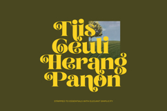 Broftin Resort - Bold Serif Display Product Image 11