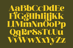 Broftin Resort - Bold Serif Display Product Image 17