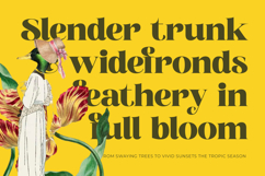 Broftin Resort - Bold Serif Display Product Image 18