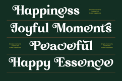 Broken Relent - Decorative Display Serif Font Product Image 13