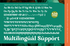 Broken Relent - Decorative Display Serif Font Product Image 19