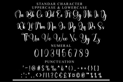 Brokenheart Product Image 3