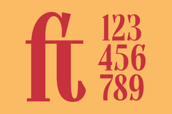 Bromtiz - Vintage Serif Display Font Product Image 10