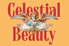 Bromtiz - Vintage Serif Display Font Product Image 12