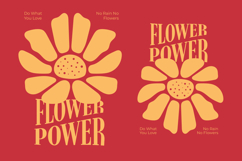 Bromtiz - Vintage Serif Display Font Product Image 13