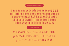 Bromtiz - Vintage Serif Display Font Product Image 14
