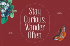 Broswick - Bold Tall Serif Display Font Product Image 2