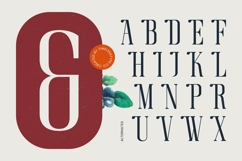 Broswick - Bold Tall Serif Display Font Product Image 9