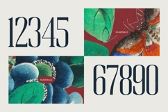 Broswick - Bold Tall Serif Display Font Product Image 12