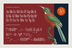 Broswick - Bold Tall Serif Display Font Product Image 18