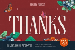 Broswick - Bold Tall Serif Display Font Product Image 20