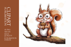 Grumpy Squirrel watercolor clipart sublimation Product Image 1