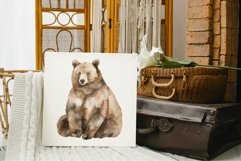 Forest animals backgrounds clipart bundle Product Image 3
