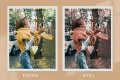 6 Brownie Photoshop actions Lightroom Presets Product Image 5