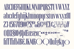 Brozeri Casual Serif Family Product Image 13