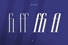 Brozeri Casual Serif Family Product Image 14