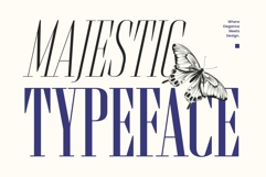Brozeri Casual Serif Family Product Image 2