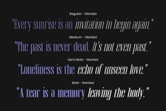 Brozeri Casual Serif Family Product Image 9