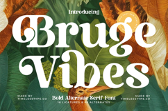 Bruge Vibes - Bold Alternate Serif Font Product Image 1