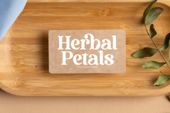 Bruge Vibes - Bold Alternate Serif Font Product Image 4