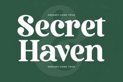 Bruge Vibes - Bold Alternate Serif Font Product Image 6