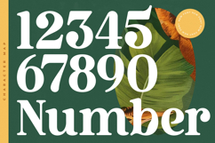 Bruge Vibes - Bold Alternate Serif Font Product Image 14