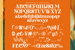 Bruge Vibes - Bold Alternate Serif Font Product Image 18