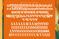 Bruge Vibes - Bold Alternate Serif Font Product Image 19