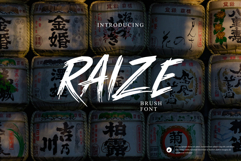 Raize Brush Font Product Image 1