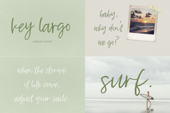 The Brush Font Bundle Product Image 5
