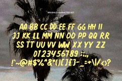 Brushly - Handcrafted Brush Font Product Image 4