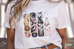 Brushstroke Halloween Goose Sublimation Product Image 5