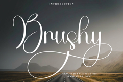 Brushy Product Image 1