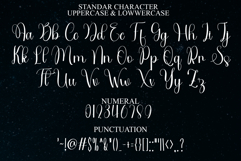 Brushy Product Image 7