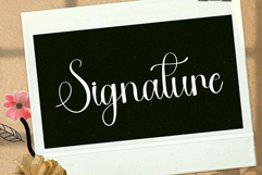 Brushy Product Image 6