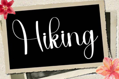 Brushy Product Image 3