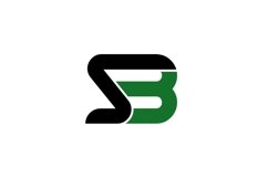 BS SB Logo design Product Image 1