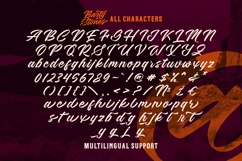 Barty Stones Product Image 10