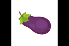 Vector illustration of an eggplant on a white background Product Image 1