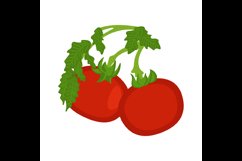 vector of a bunch of red fresh tomatoes on a green branch. Product Image 1