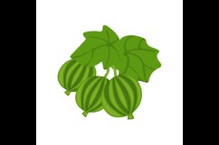 on a white background green gooseberry vector illustration Product Image 1