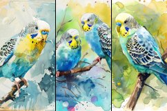 Budgerigar Digital Paper Bundle Product Image 3