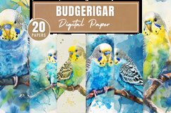 Budgerigar Digital Paper Bundle Product Image 1