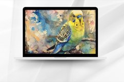 Budgerigar Digital Paper Bundle Product Image 5