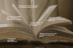 Buetia Modern Bold Sans Serif Product Image 5