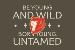 Bufalo Chotten - Western Vintage Font Product Image 11